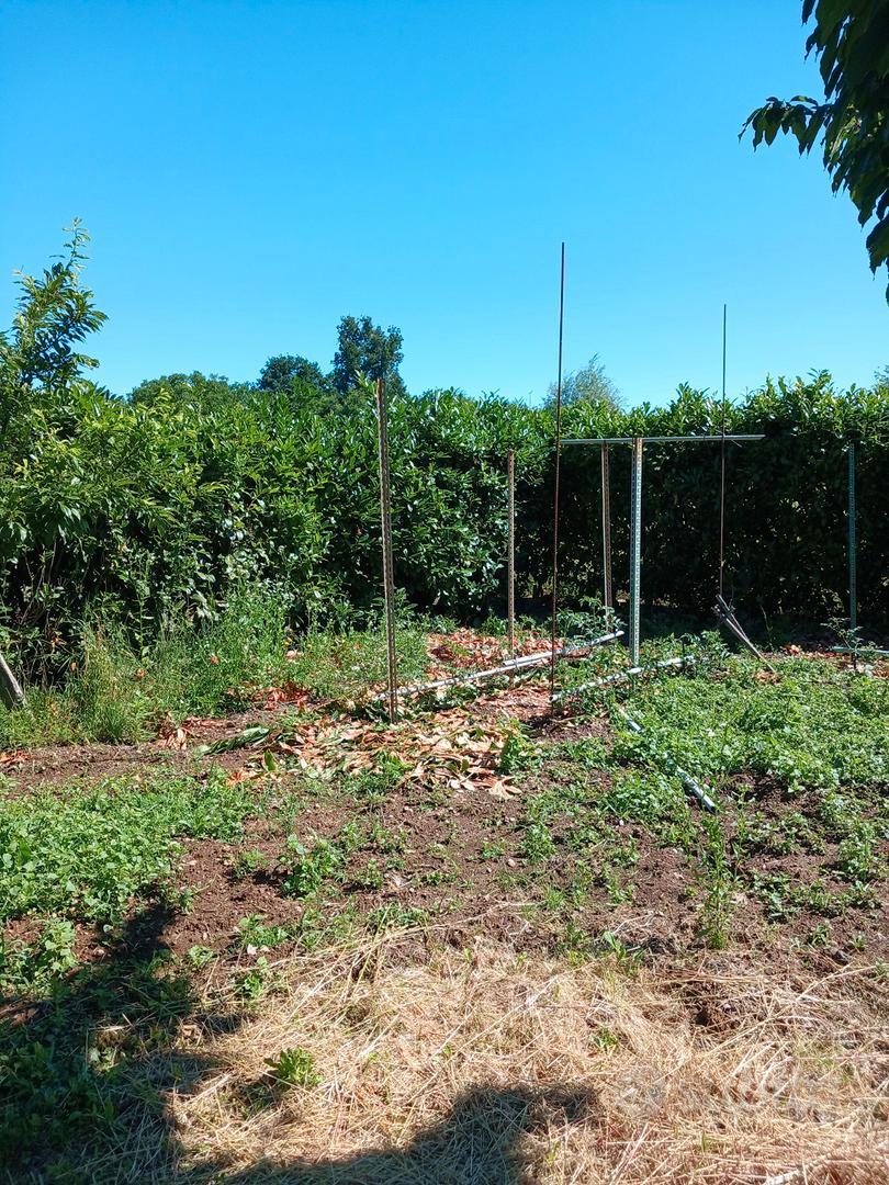 Terreno agricolo - Vista 5