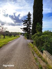 Terreno con abitazione