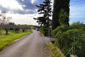 Terreno con abitazione