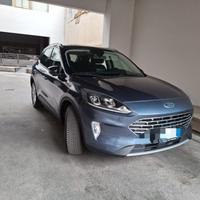 Ford Kuga

Kuga 1.5 ecoblue Titanium X 2wd 120cv

