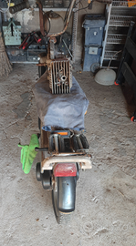 Piaggio si dà amatori
