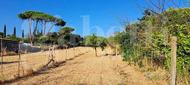 Terreno Agricolo Marino [70 tee via lombardiVCG] (