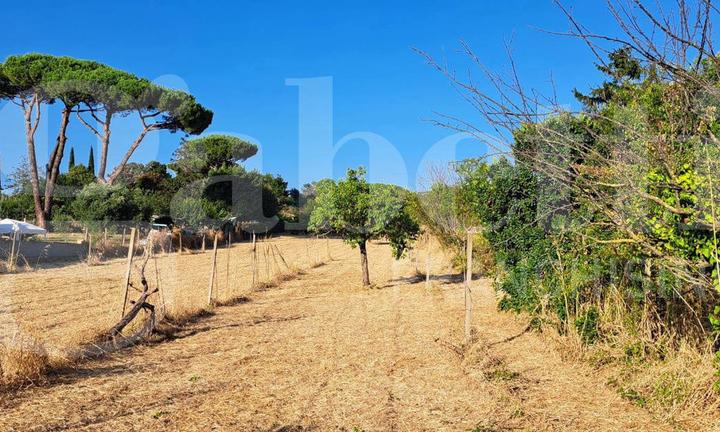 Terreno Agricolo Marino [70 tee via lombardiVCG] (