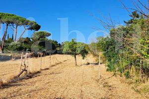 Terreno Agricolo Marino [70 tee via lombardiVCG] (