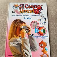 Esplorando il corpo umano la vista