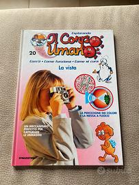 Esplorando il corpo umano la vista