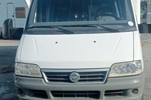 Camper Elnagh Slim 4 G