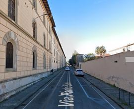 1536 bilocale ristrutturato con ascensore a pisa