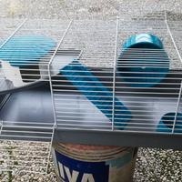 Gabbia grande e gabbia piccola per criceto