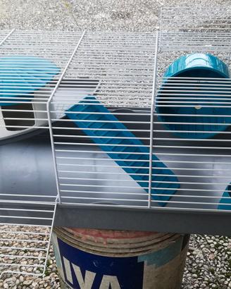 Gabbia grande e gabbia piccola per criceto