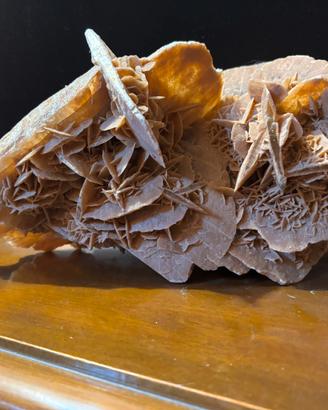 Rosa del deserto