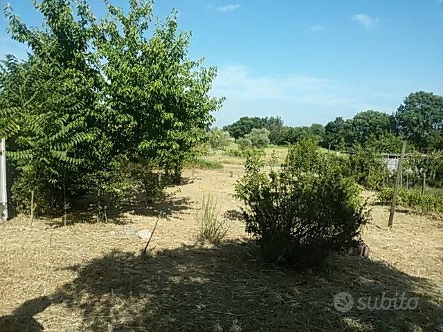 Terreno agricolo - Vista 5