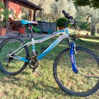 bici ruote da 24 per ragazzo