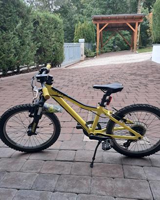 bici scoot scale 20 pollici 