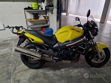 Honda x eleven naked honda x 11