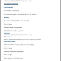 Badante, babysitter, cameriera , aiuto cuoco ecc