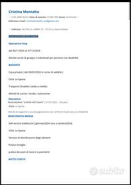 Badante, babysitter, cameriera , aiuto cuoco ecc