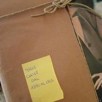 riviste secolo scorso 1995