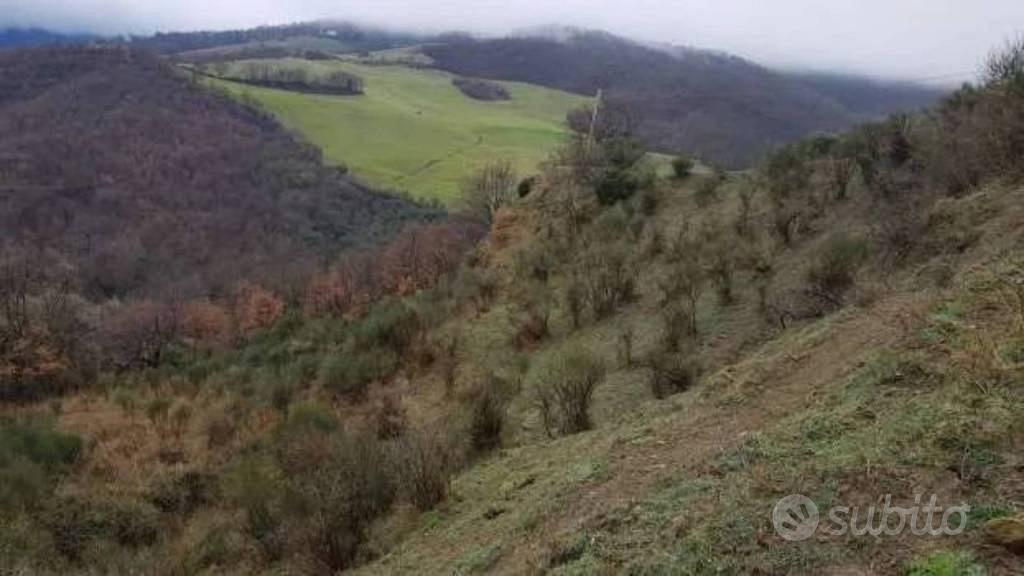 Immobile in asta di 15222 m² a San Mauro Forte - Vista 4