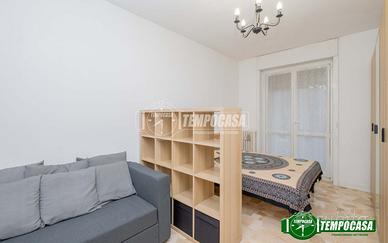 Monolocale ristrutturato con cucina abitabile, bal