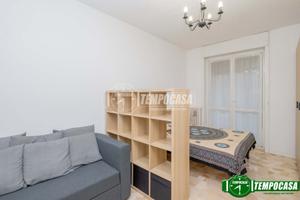 Monolocale ristrutturato con cucina abitabile, bal