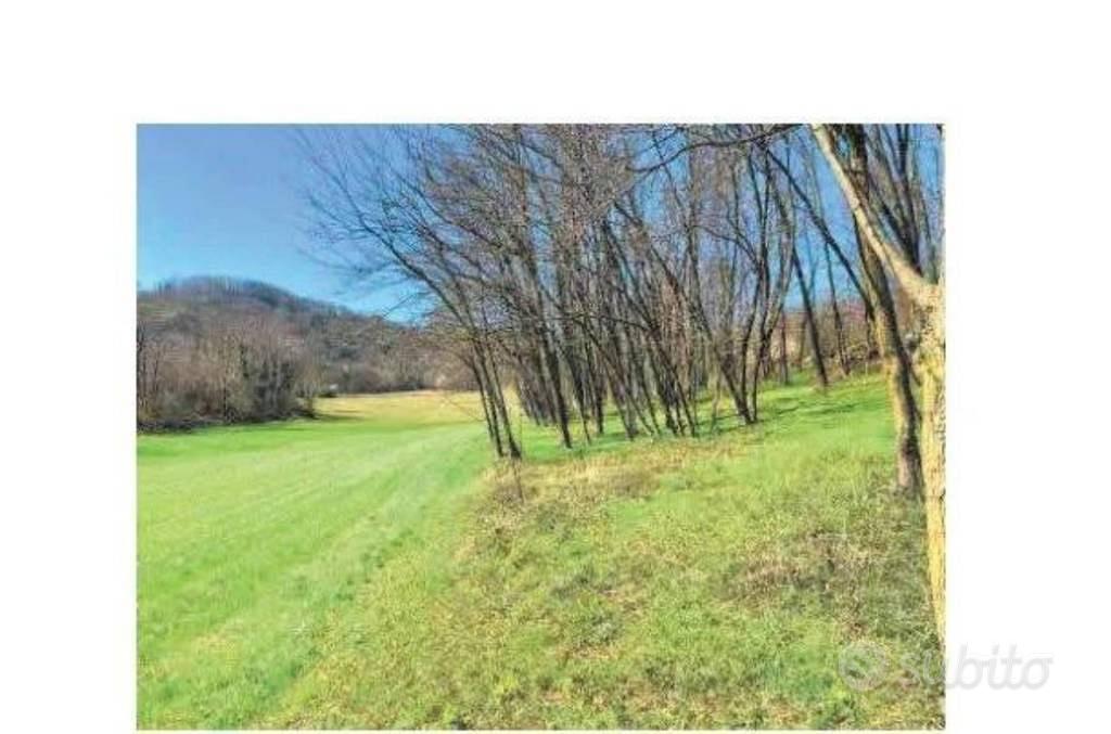 Immobile in asta di 29963 m² a Monte di Malo - Vista 4
