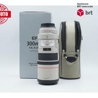 Canon EF 300 F4 L IS USM (Canon)
