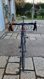 bici da corsa specilized