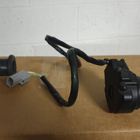 Manopole e comando gas Multistrada 1260