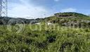 terreno-agricolo-villafranca-tirrena