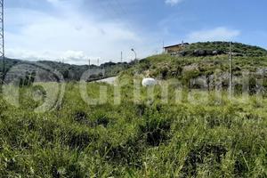 Terreno Agricolo Villafranca Tirrena