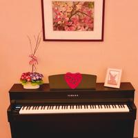 Pianoforte Digitale Yamaha Clavinova CLP-635
