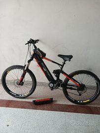 e-Bike biamortizzata