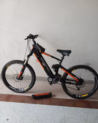 e-Bike biamortizzata