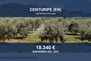 Immobile in asta di 18571 m² a Centuripe