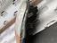 Immagine 14