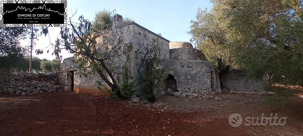 CASOLARE CON TRULLO SARACENO e LAMIA - OSTUNI - Vista 2