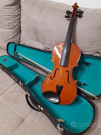 violino