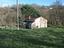 Immagine 2