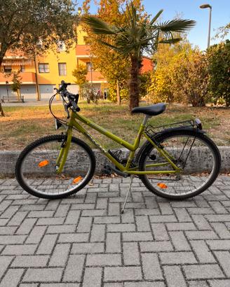 Bicicletta Mountain Bike