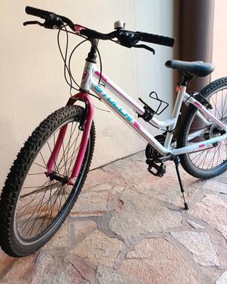 Mountain bike