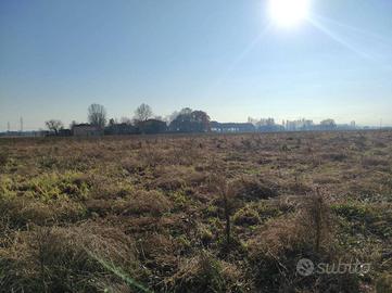 Terreno di 140135 m² a Budrio