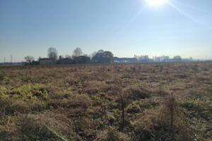 Terreno di 140135 m² a Budrio