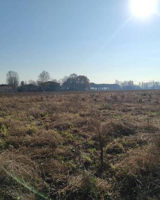 Terreno di 140135 m² a Budrio