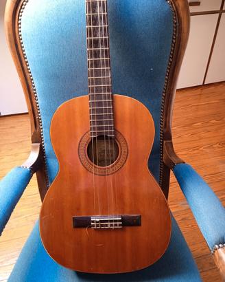 chitarra Suzuki violin n.700