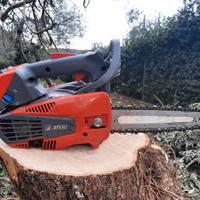 Motosega efco