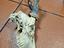 Immagine 2