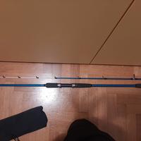 canna da pesca spinning 