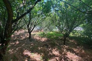 TERRENO A NAPOLI