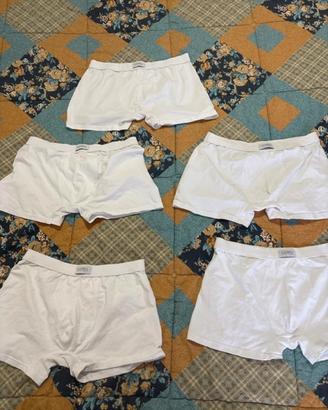 Boxer Liabel